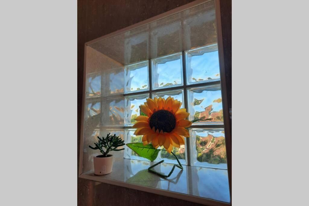 Sunflower Sea View with magnificent terrace in Serra da Pescaria, Nazaré - Portugal Exterior foto